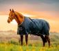 Preview: Horseware; AMIGO Ripstop 900D Turnout 100g - witney navy